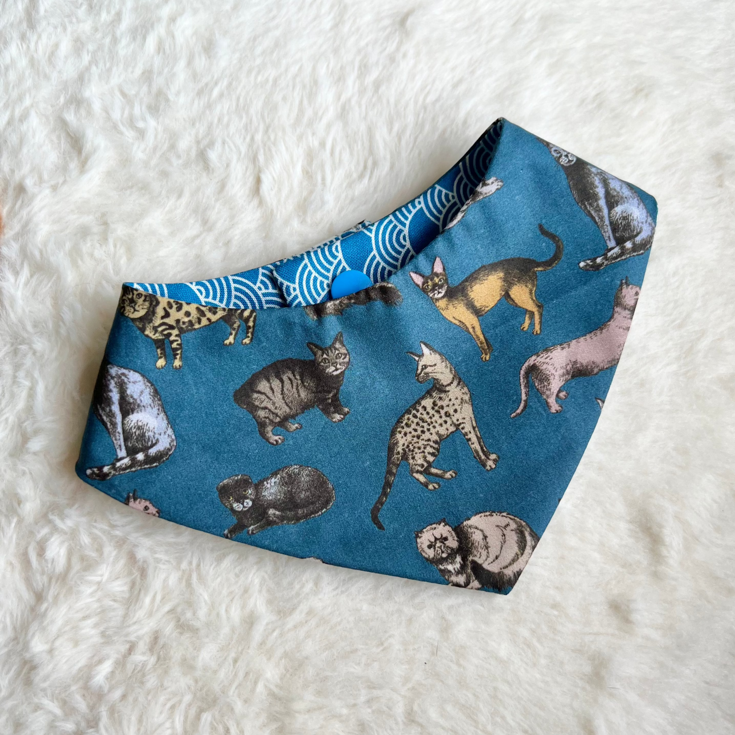 Cats Collection in Blue Reversible Bandana